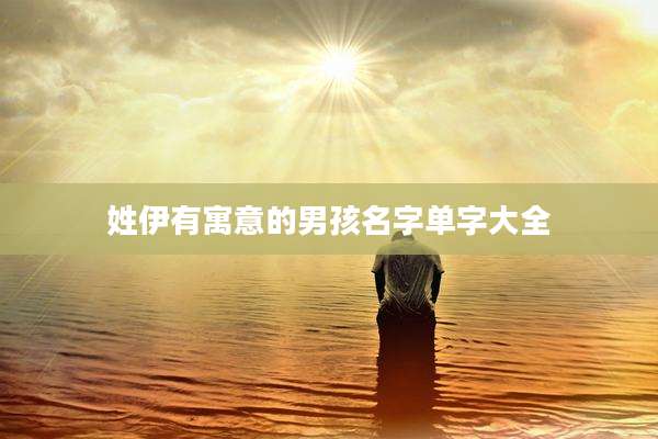 姓伊有寓意的男孩名字单字大全