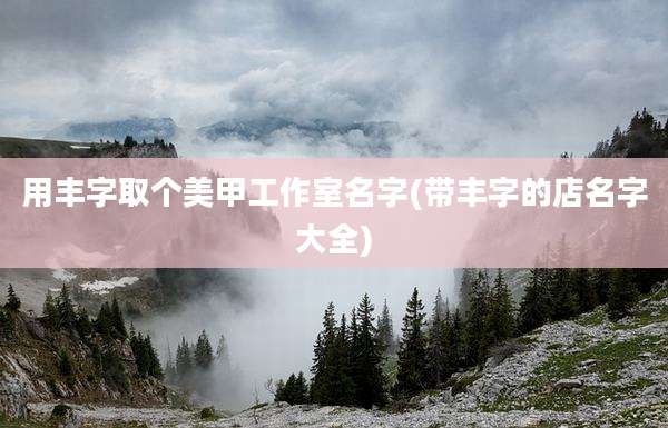 用丰字取个美甲工作室名字(带丰字的店名字大全)