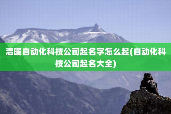 温暖自动化科技公司起名字怎么起(自动化科技公司起名大全)
