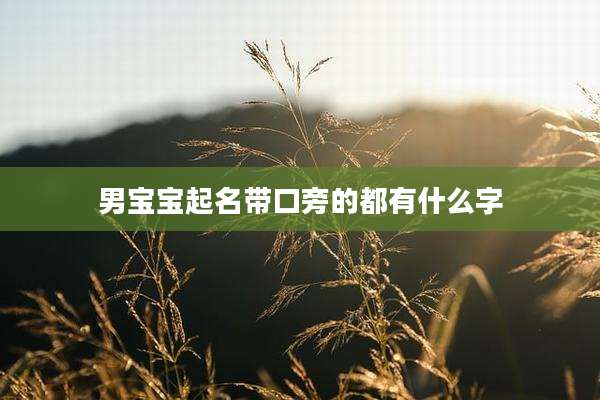 男宝宝起名带口旁的都有什么字