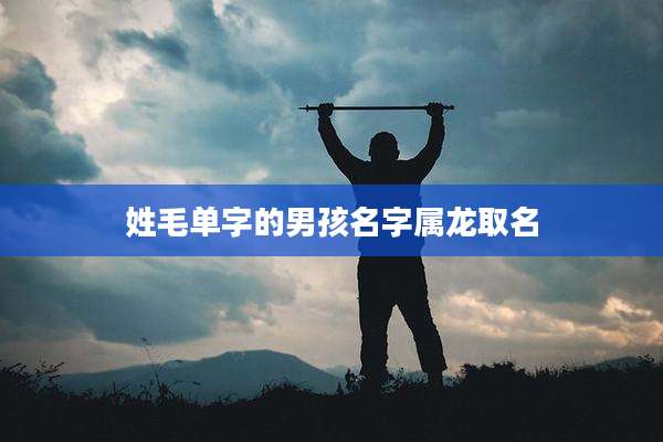 姓毛单字的男孩名字属龙取名
