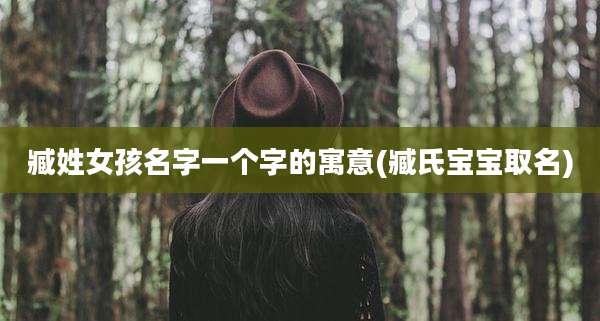 臧姓女孩名字一个字的寓意(臧氏宝宝取名)