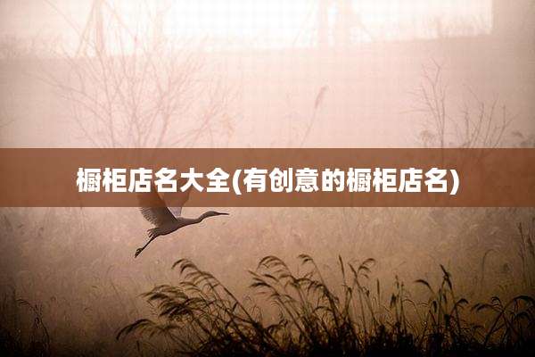 橱柜店名大全(有创意的橱柜店名)