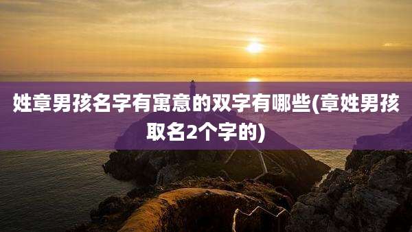 姓章男孩名字有寓意的双字有哪些(章姓男孩取名2个字的)