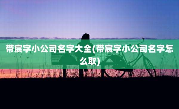带宸字小公司名字大全(带宸字小公司名字怎么取)
