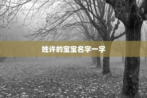 姓许的宝宝名字一字