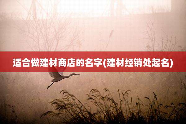 适合做建材商店的名字(建材经销处起名)