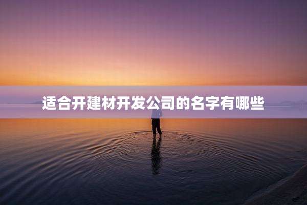 适合开建材开发公司的名字有哪些