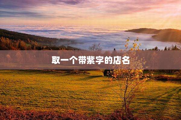取一个带紫字的店名