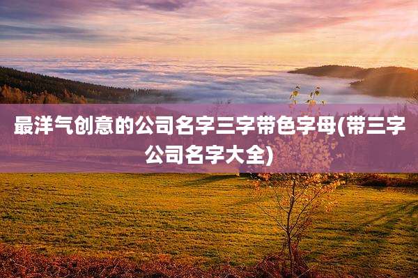 最洋气创意的公司名字三字带色字母(带三字公司名字大全)