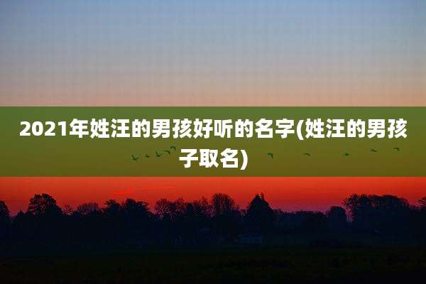 2021年姓汪的男孩好听的名字(姓汪的男孩子取名)