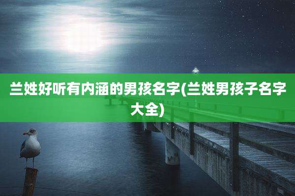 兰姓好听有内涵的男孩名字(兰姓男孩子名字大全)