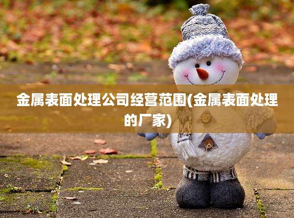 金属表面处理公司经营范围(金属表面处理的厂家)