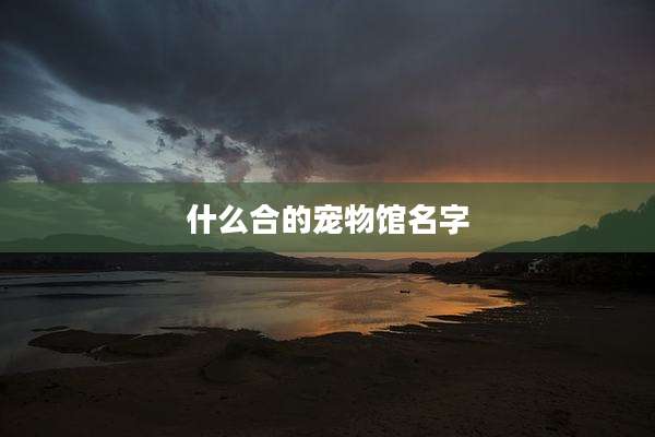 什么合的宠物馆名字