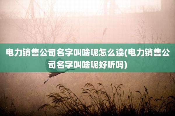 电力销售公司名字叫啥呢怎么读(电力销售公司名字叫啥呢好听吗)