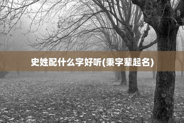 史姓配什么字好听(秉字辈起名)