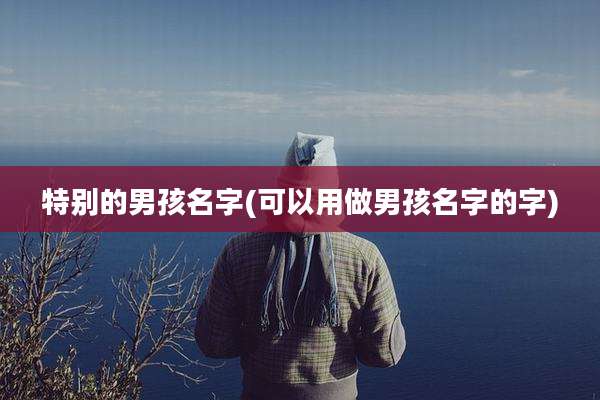 特别的男孩名字(可以用做男孩名字的字)