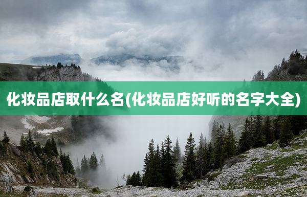 化妆品店取什么名(化妆品店好听的名字大全)