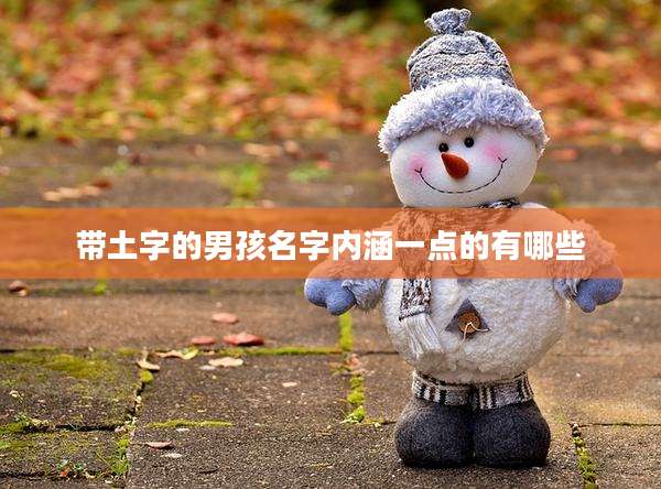 带土字的男孩名字内涵一点的有哪些