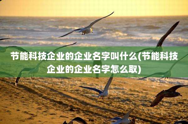 节能科技企业的企业名字叫什么(节能科技企业的企业名字怎么取)