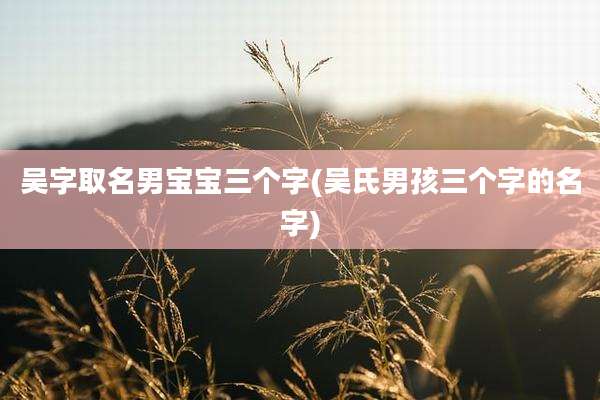 吴字取名男宝宝三个字(吴氏男孩三个字的名字)