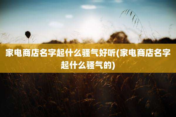 家电商店名字起什么骚气好听(家电商店名字起什么骚气的)