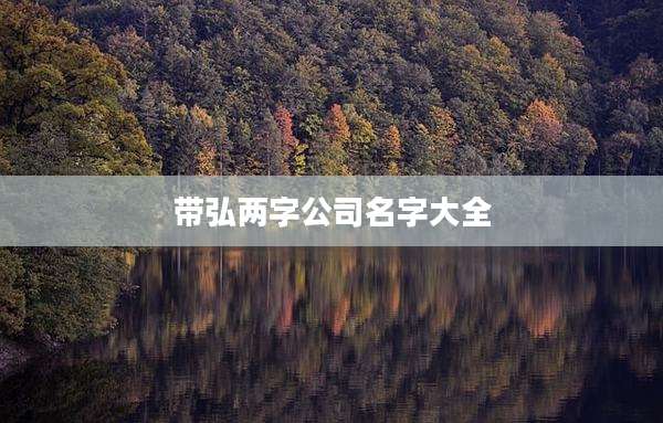带弘两字公司名字大全