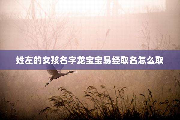 姓左的女孩名字龙宝宝易经取名怎么取