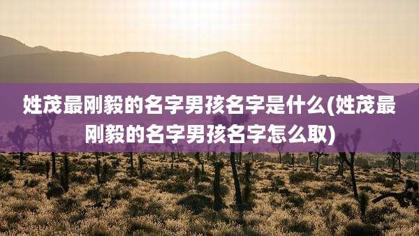 姓茂最刚毅的名字男孩名字是什么(姓茂最刚毅的名字男孩名字怎么取)