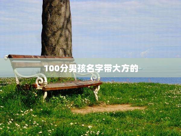 100分男孩名字带大方的