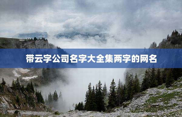 带云字公司名字大全集两字的网名