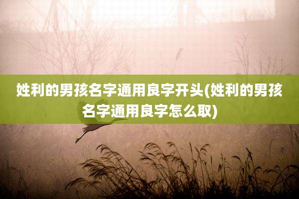 姓利的男孩名字通用良字开头(姓利的男孩名字通用良字怎么取)