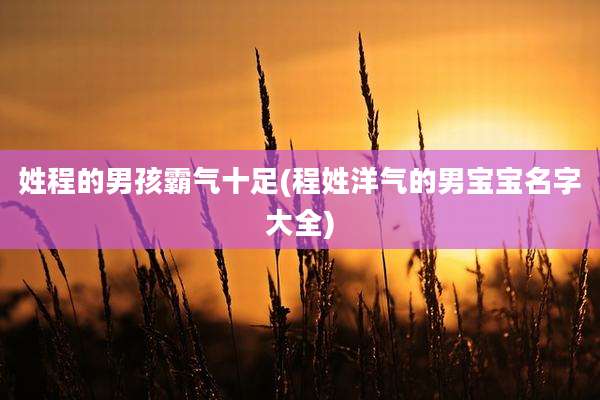 姓程的男孩霸气十足(程姓洋气的男宝宝名字大全)