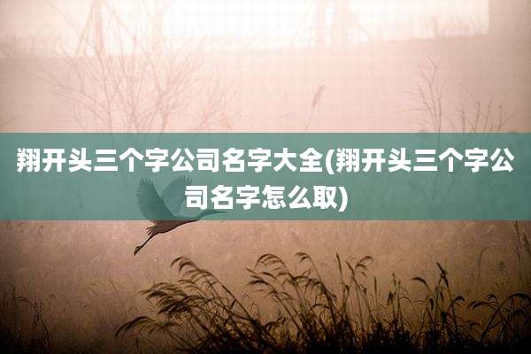 翔开头三个字公司名字大全(翔开头三个字公司名字怎么取)