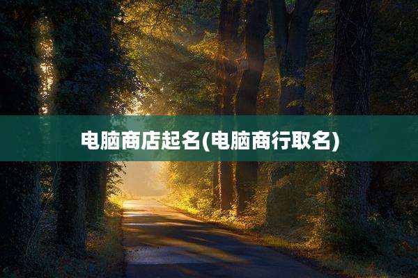 电脑商店起名(电脑商行取名)
