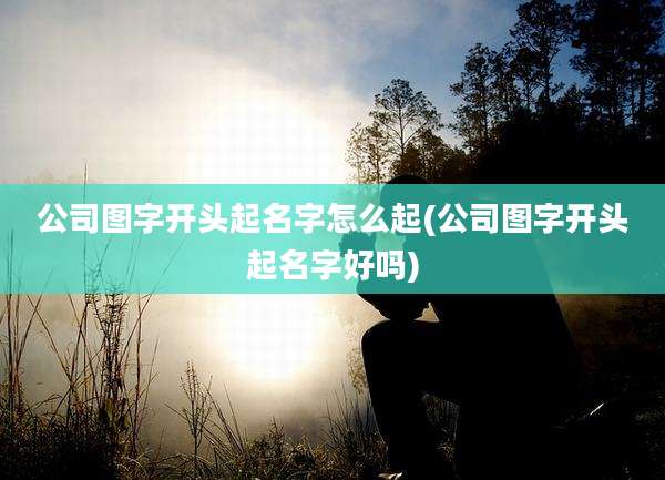 公司图字开头起名字怎么起(公司图字开头起名字好吗)