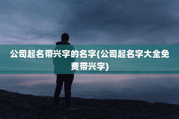 公司起名带兴字的名字(公司起名字大全免费带兴字)