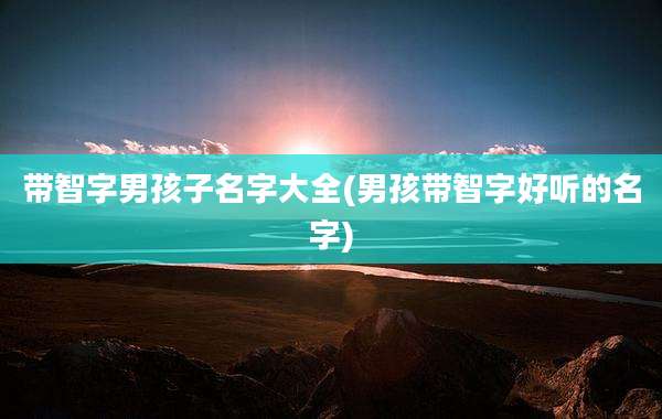 带智字男孩子名字大全(男孩带智字好听的名字)