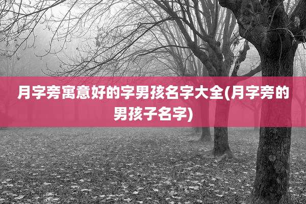 月字旁寓意好的字男孩名字大全(月字旁的男孩子名字)