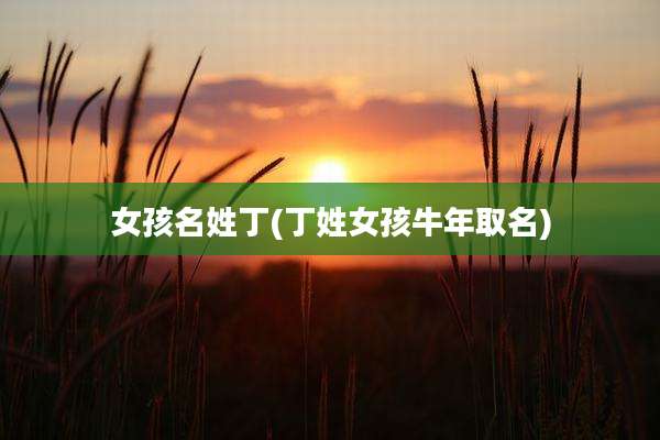 女孩名姓丁(丁姓女孩牛年取名)