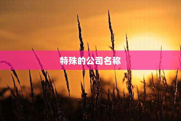 特殊的公司名称