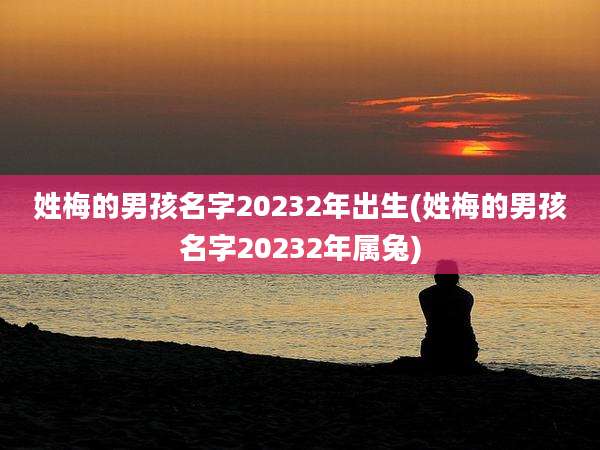 姓梅的男孩名字20232年出生(姓梅的男孩名字20232年属兔)
