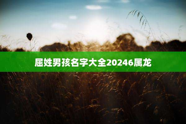 屈姓男孩名字大全20246属龙