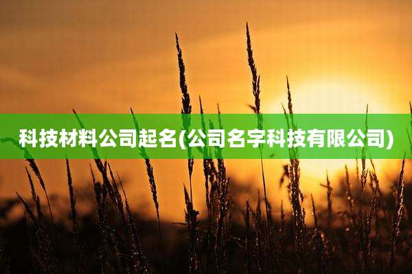 科技材料公司起名(公司名字科技有限公司)