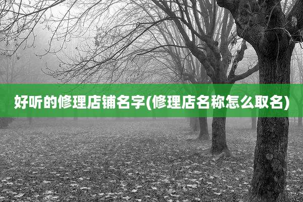 好听的修理店铺名字(修理店名称怎么取名)