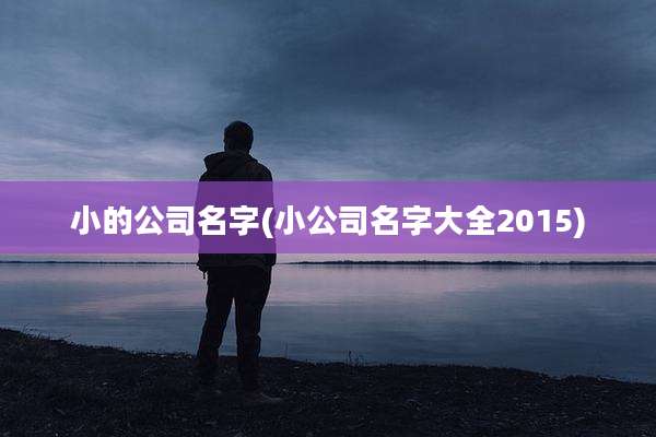小的公司名字(小公司名字大全2015)