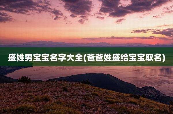盛姓男宝宝名字大全(爸爸姓盛给宝宝取名)