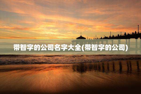 带智字的公司名字大全(带智字的公司)