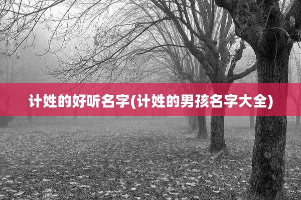 计姓的好听名字(计姓的男孩名字大全)