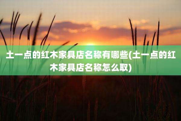 土一点的红木家具店名称有哪些(土一点的红木家具店名称怎么取)